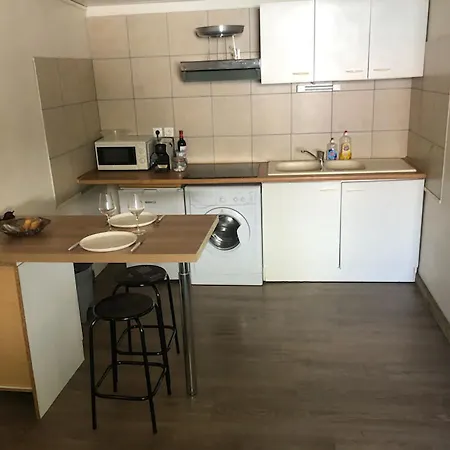 Studio Duplex Avec Jardin Terrasse La Genette Le Mail Apartment *